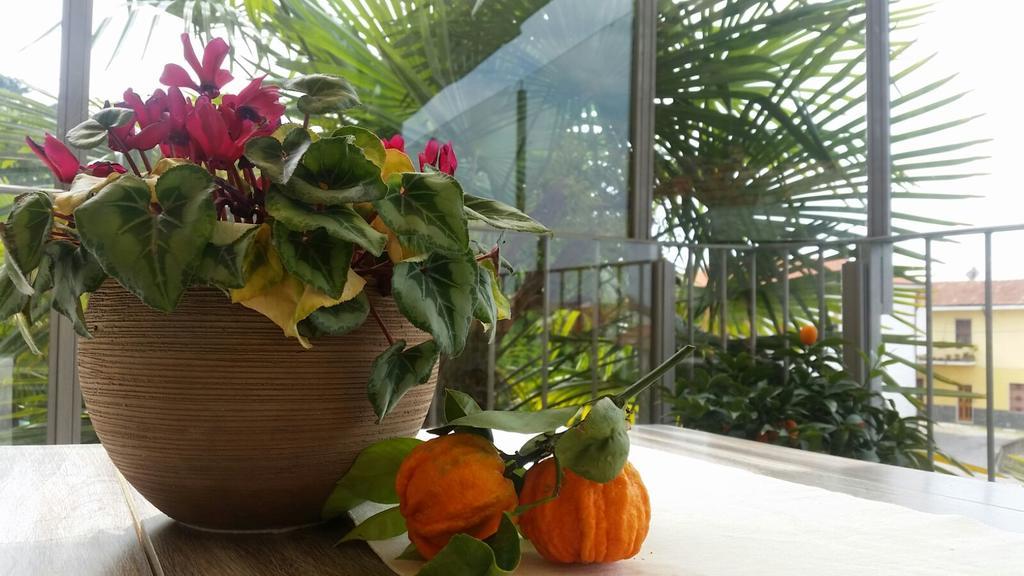 La Corte Sul Naviglio Boffalora sopra Ticino Bagian luar foto